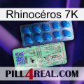 Rhinocéros 7K new02